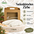 Zirben Nackenhörnchen